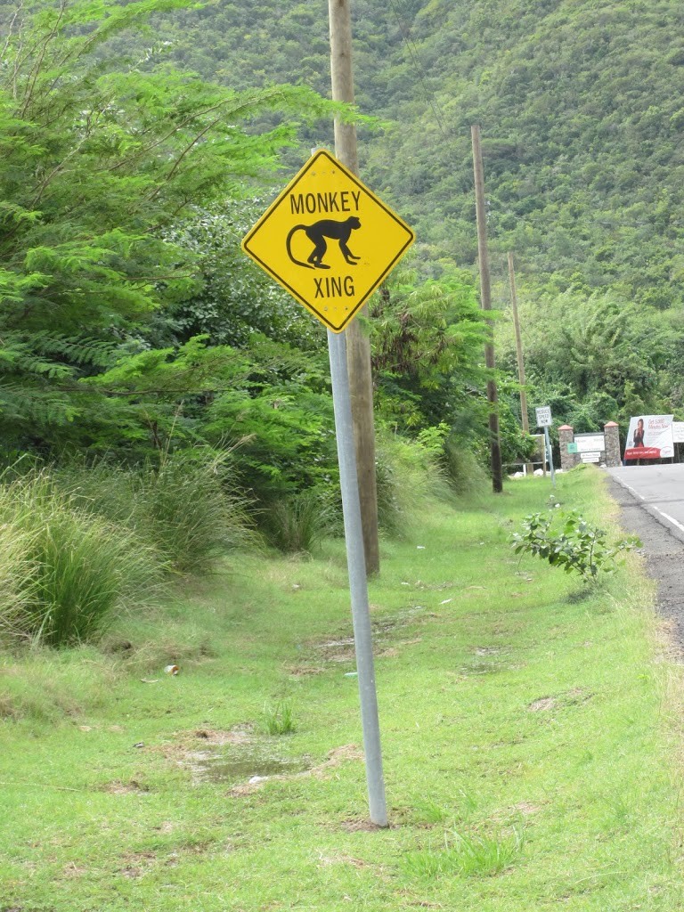 Road sign, Nevis