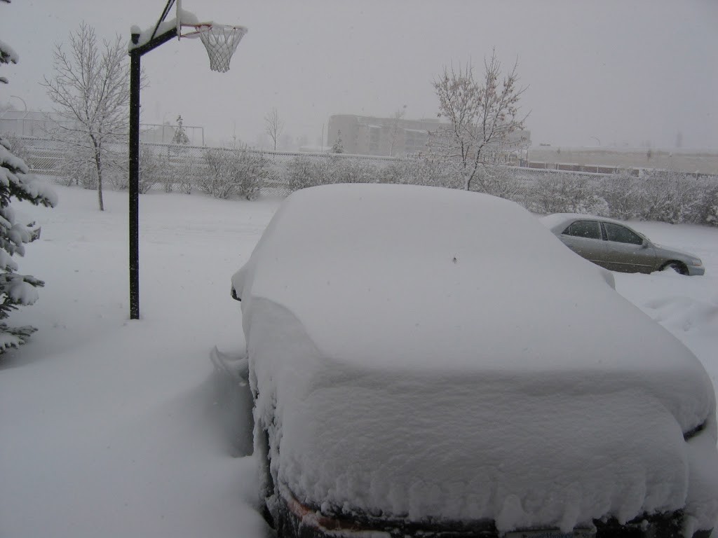 snow covered car