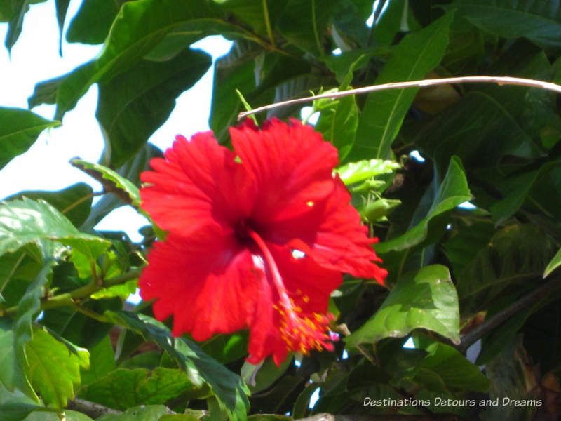 English Harbour, Antigua - boating, history and beaches