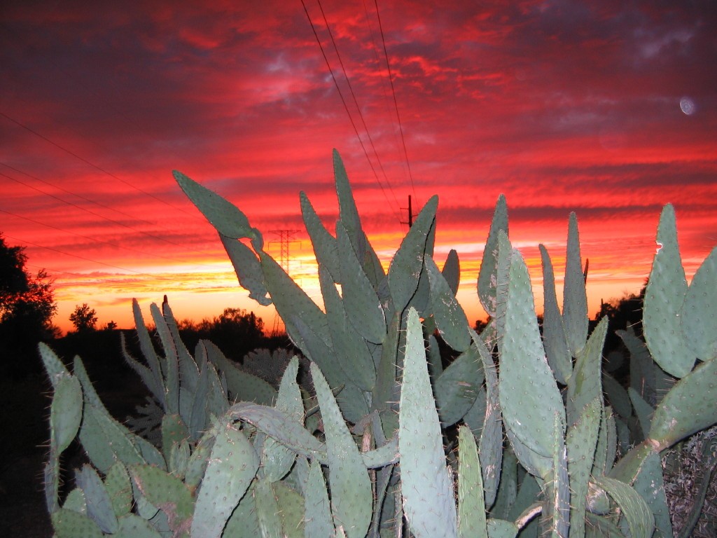 Arizona sunset