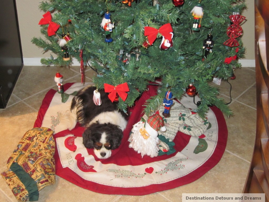 dog under Christmas tree