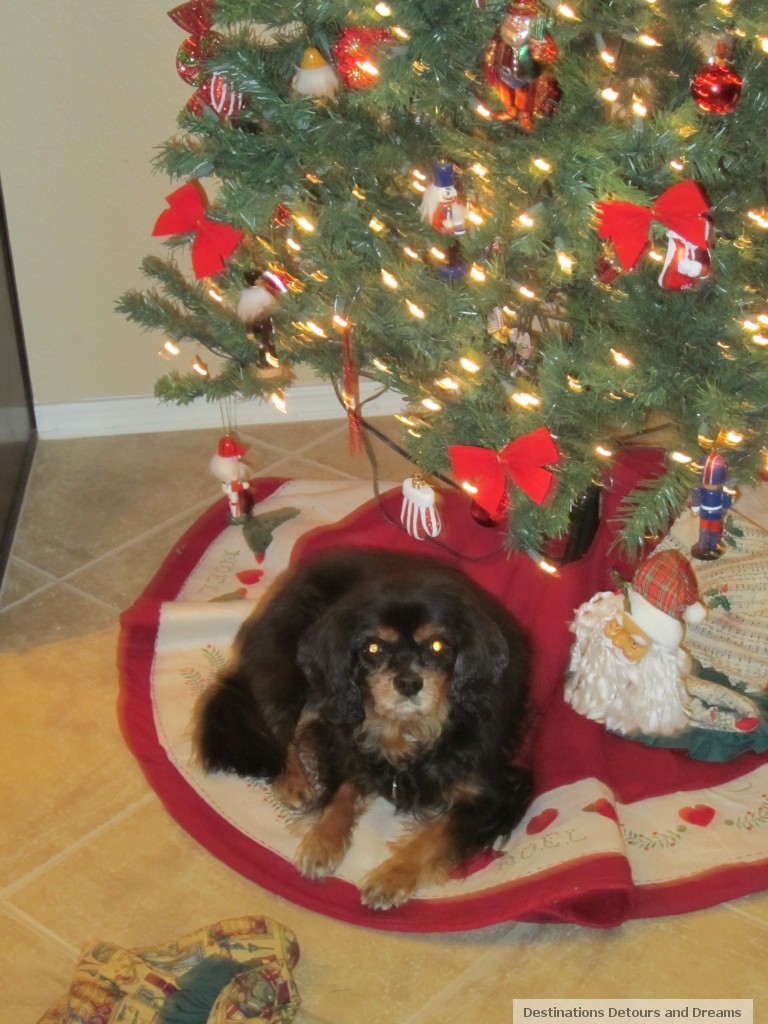 dog under Christmas tree