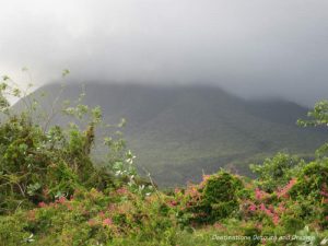 The mist atop the lush Mount Nevis in the Caribbean