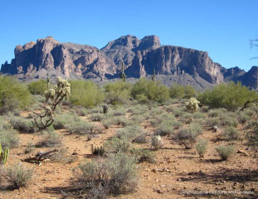 Landscape at Superstition Museum in Apache Junction, Arizona