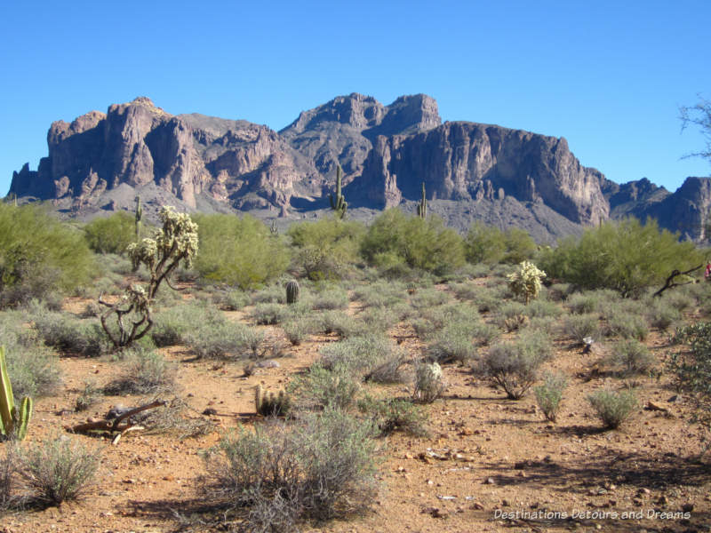 Landscape at Superstition Mountain Museum in Apache Junction, Arizona