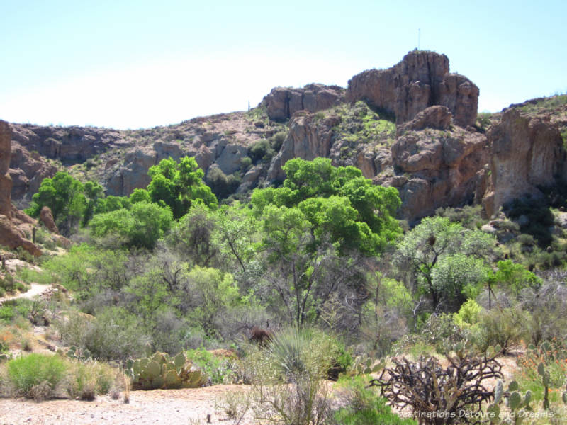 Boyce Thompson Arboretum in Superior Arizona