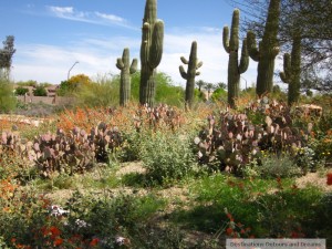 Riparian Preserve