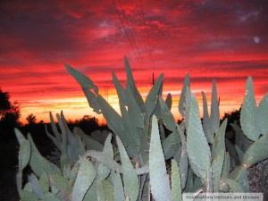 Arizona sunset