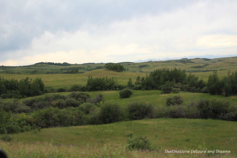 Alberta's Cowboy Trail