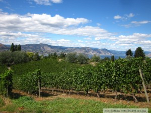 View from Therapy Vineyards in Naramata