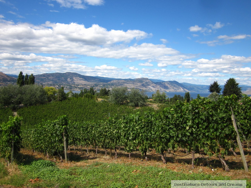 View from Therapy Vineyards in Naramata