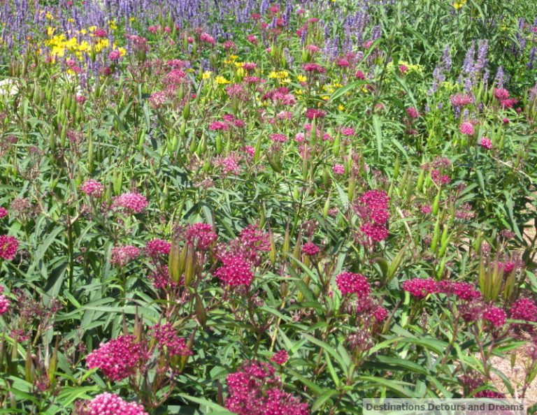 Living Prairie Museum