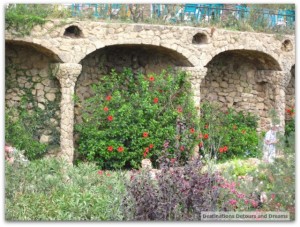 flowers at Park Guell