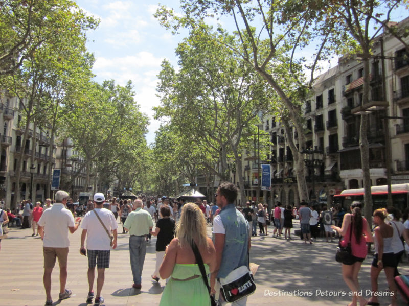 Las Ramblas. Guide to exploring Barcelona on foot: Las Ramblas, the Gothic Quarter, the Eixemple district, and the beach