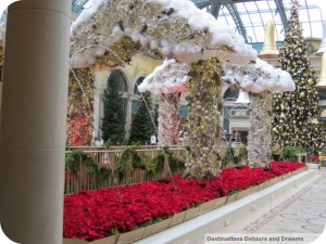 Bellagio gardens Christmas