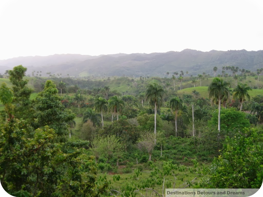 Hills above Cabarete