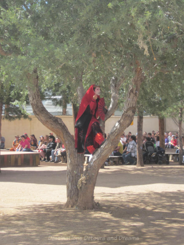 Arizona Renaissance Festival