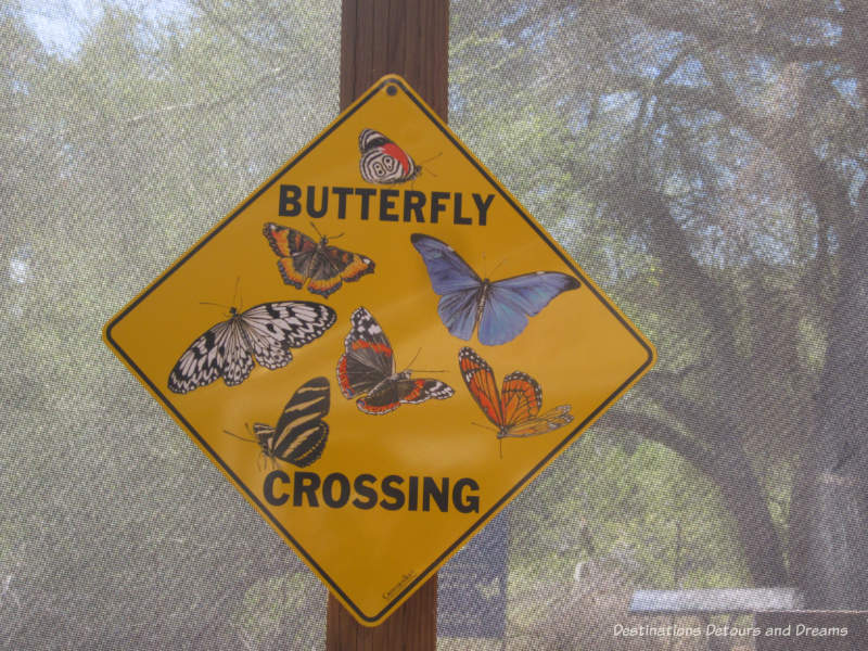 Butterfly Exhibit at Phoenix Desert Botanical Garden