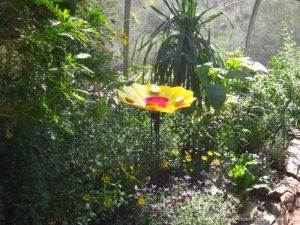 Butterfly house with flowering plants at Phoenix Desert Botanical Garden