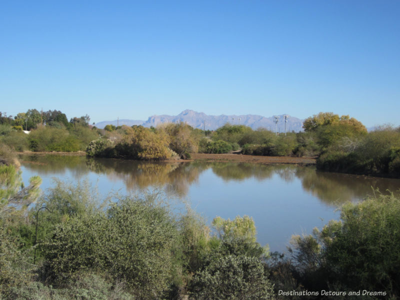 Riparian Preserve at Water Ranch in Gilbert, Arizona