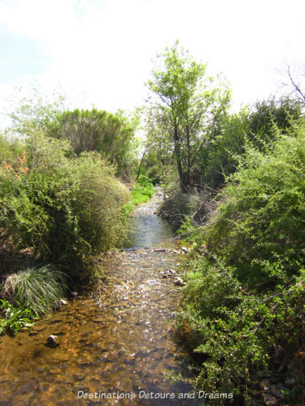 Stream at Gilbert Riparian Preserve in Gilbert, Arizona