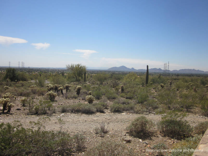 View from Taliesin West toward Scottsdale