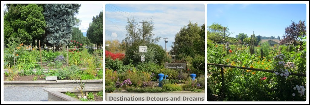 Vancouver community gardens