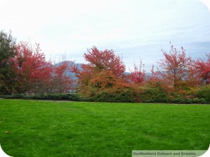 Stanley Park autumn colours