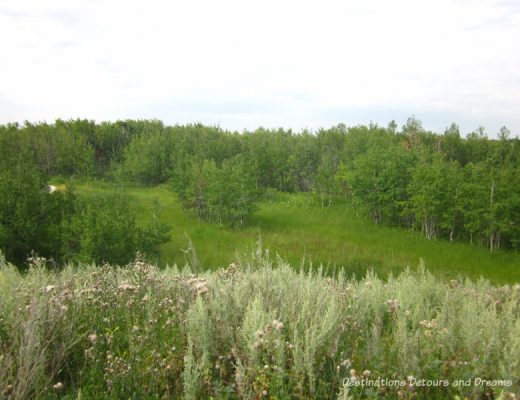 FortWhyte Alive: a 640-acre nature preserve in Winnipeg, Manitoba