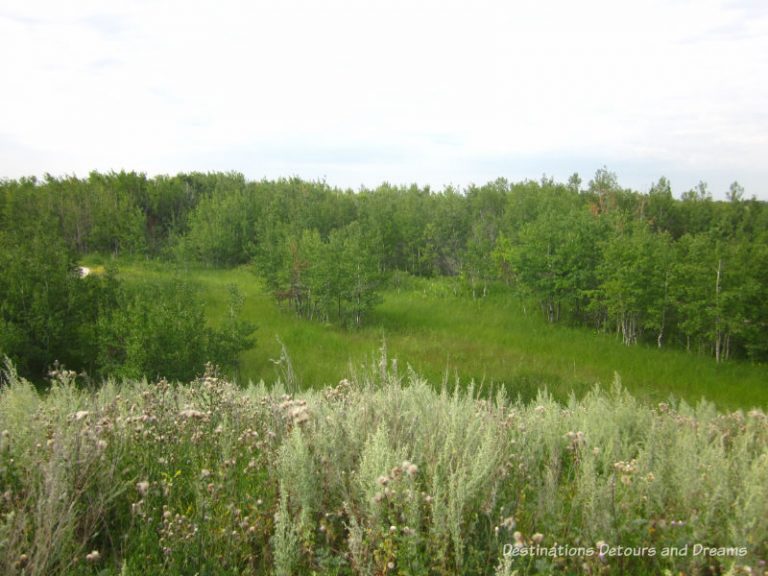 Alive With Flora, Fauna, and Fun at a Winnipeg Nature Preserve