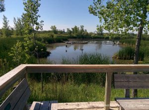 FortWhyte Alive: a 640-acre nature preserve in Winnipeg, Manitoba promotes awareness and understanding of the natural world through education, recreation and nature trails