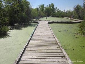 FortWhyte Alive: a 640-acre nature preserve in Winnipeg, Manitoba promotes awareness and understanding of the natural world through education, recreation and nature trails
