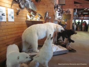 Touch Me Museum at FortWhyte Alive: a 640-acre nature preserve in Winnipeg, Manitoba