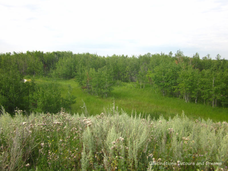 FortWhyte Alive: a 640-acre nature preserve in Winnipeg, Manitoba