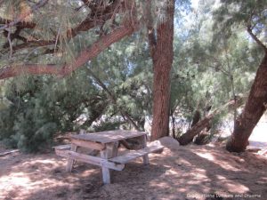 Picnic area at World's Smallest Museum in Superior, Arizona