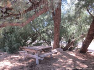Picnic table in the shade at edge of the property at the World's Smallest Museum
