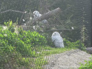 Journey to Churchill at Assiniboine Park Zoo in Winnipeg, Manitoba