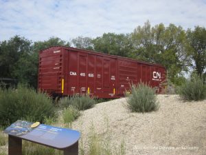 Journey to Churchill at Assiniboine Park Zoo in Winnipeg, Manitoba