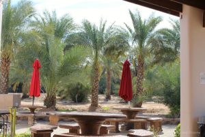 Patio area at Martha's Gardens Date Farm in Yuma Arizona