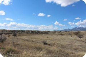 Arizona grassland