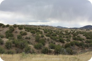 Scenery on Sonoita-Elgin trail