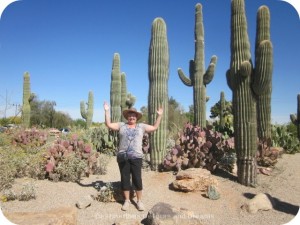 saguaros