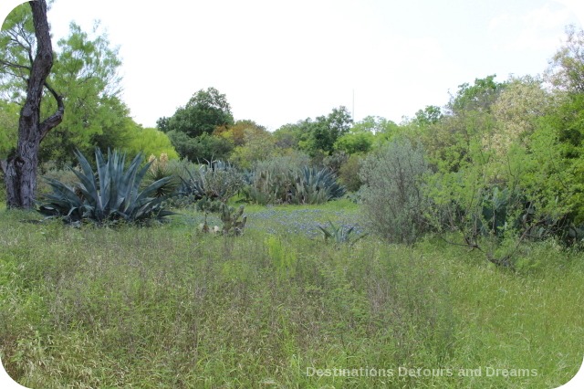 San Antonio Botanical Garden South Texas Trail