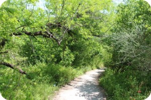Entry to South Texas portion of Texas Trail