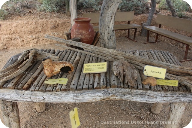 Arizona-Soinoran Desert Museum