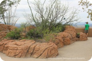 Arizona-Sonoran Desert Museum