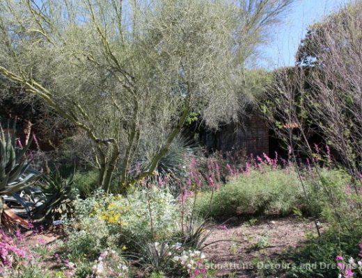 Tohono Chul Park