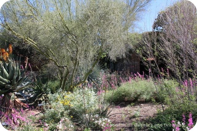 Gardens, Art and Sonoran Desert Beauty at Tohono Chul Park