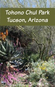 Gardens, art and desert beauty at Tohono Chul Park in Tucson