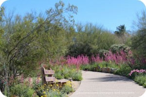 Path through Tohono-Chul